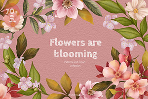 Summer flowers and leaves collection