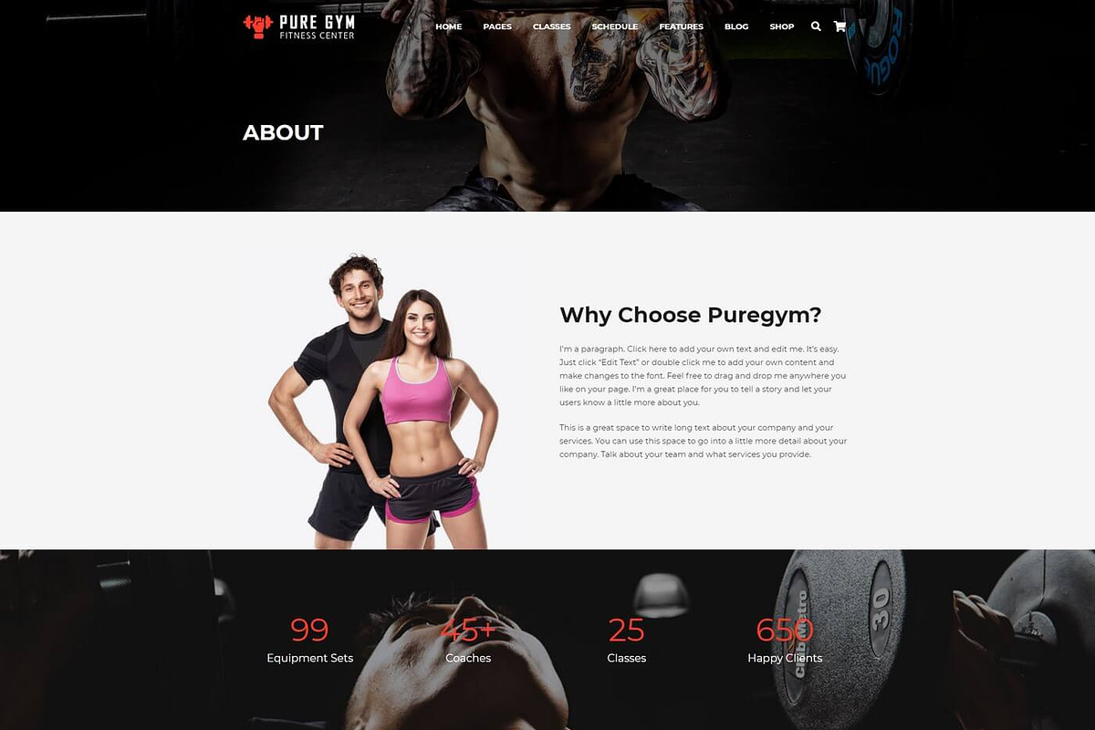 PureGym – Gym, Fitness & Business, a WordPress Template by Cherry Wordpress Theme (Photo 3 of 9)