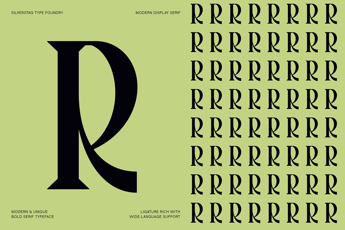 Tangled Rockaway Vintage Serif Font, a Serif Font by SilverStag Type Foundry (Photo 9 of 18)