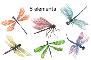 Dragonfly Watercolor Clip Art