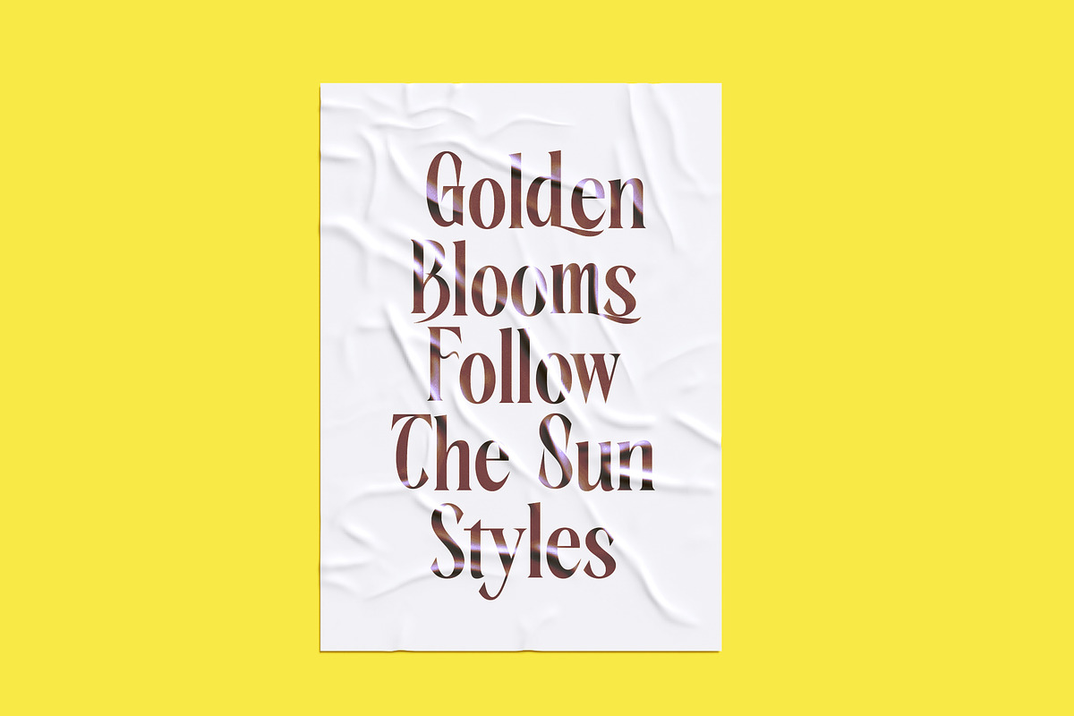 Rachon Bold Tall Display Serif, a Serif Font by timelesstype.co (Photo 10 of 20)