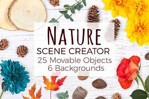 Nature Scene Creator - Top View