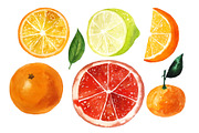 Set of watercolor citrus fruits, an Illustration by Elena Dorosh (Thumbnail 3 of 6)