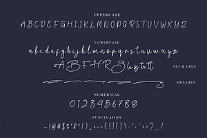 Biegen Stinger - Script Font