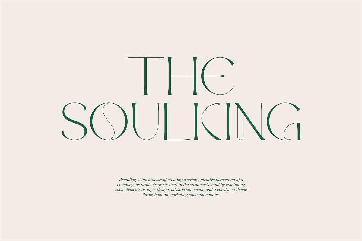 Brown Vegas | Beautifull Sans Serif, a Serif Font by WhymoreArt (Photo 8 of 10)