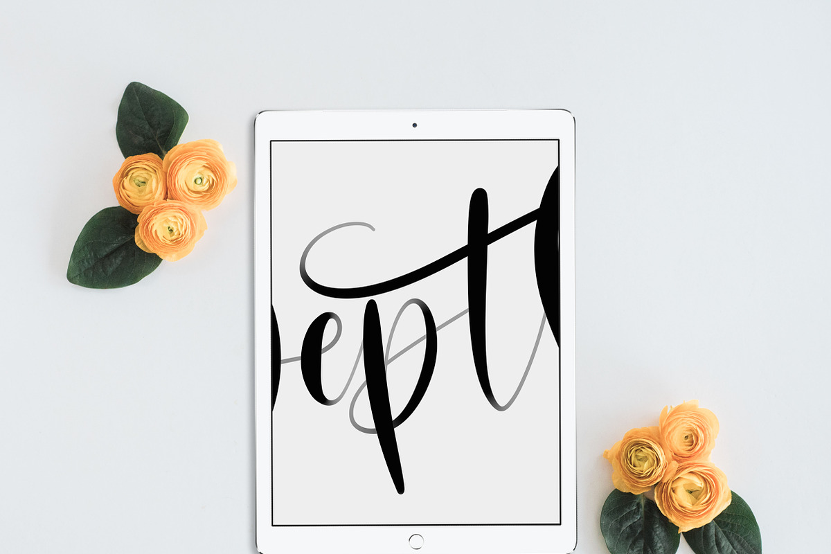 iPad Lettering Brush - Depth preview 4