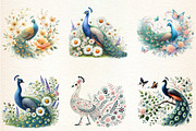 Spring Peacock Clipart, a Seasonal Illustration by DreamArtGraphic (Thumbnail 2 of 4)