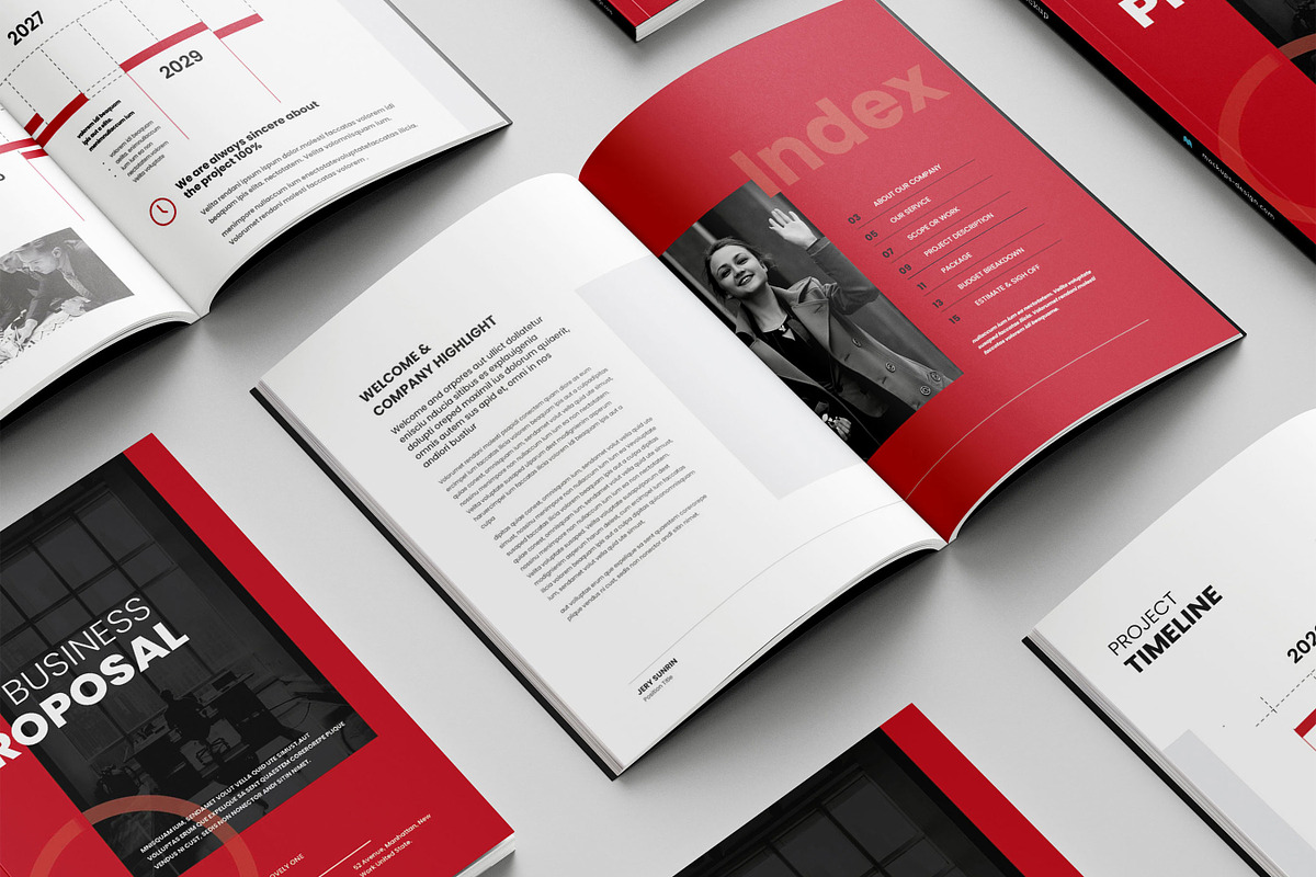Business Proposal Template, Brochure, a Brochure Template by Niofix (Photo 6 of 6)