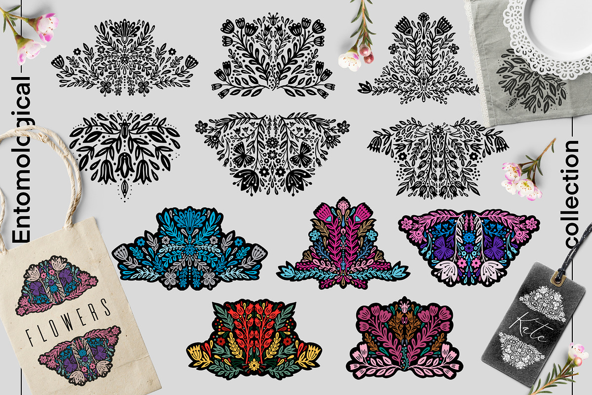 Entomological collection insect, a Decorative Illustration by Moonflora (Photo 8 of 13)