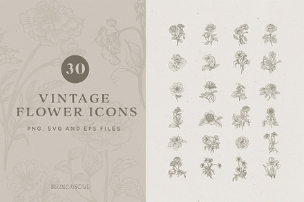 Vintage Flower Icons - Logo Elements, an Illustration by BlumenSoul