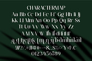Beldin || Modern Classy Serif Font, a Serif Font by Ermedia Studio (Thumbnail 10 of 10)