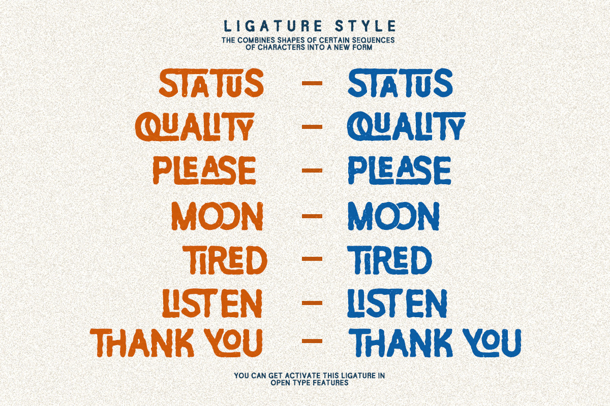 The Western Island - Ligature Font, a Sans Serif Font by Bale Type (Photo 8 of 12)
