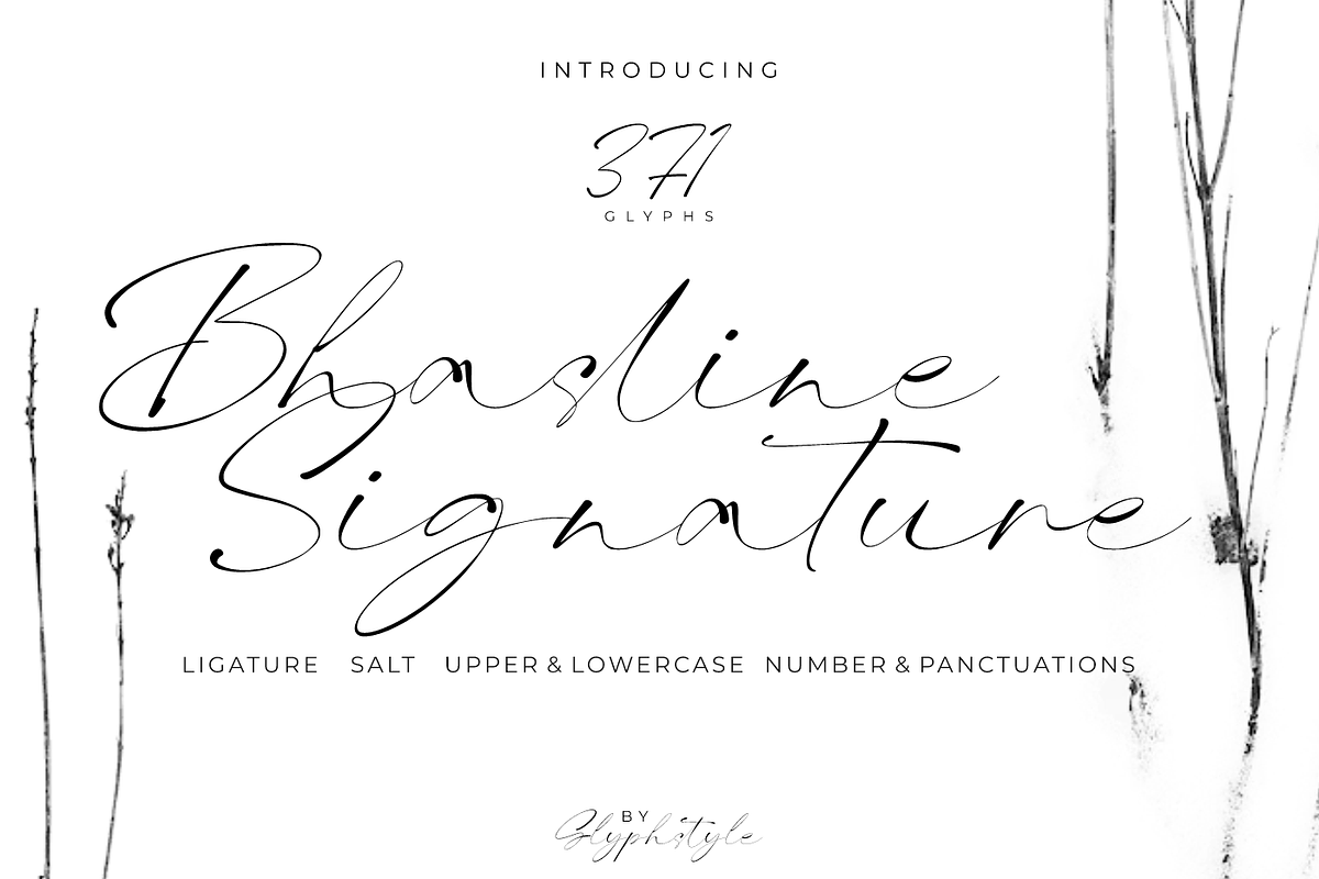 Bhasline Signature, a Handwritten Font by Glyphstyle (Photo 1 of 7)