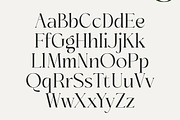 Sainer Bagora Modern Serif, a Serif Font by timelesstype.co (Thumbnail 14 of 20)