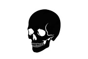 50 Skull Head Silhouette Vector Bund, an Illustration by Creativeshirt (Thumbnail 13 of 51)