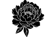 Peony Flower Silhouette, an Object Graphic by Designer_Momina (Thumbnail 13 of 18)