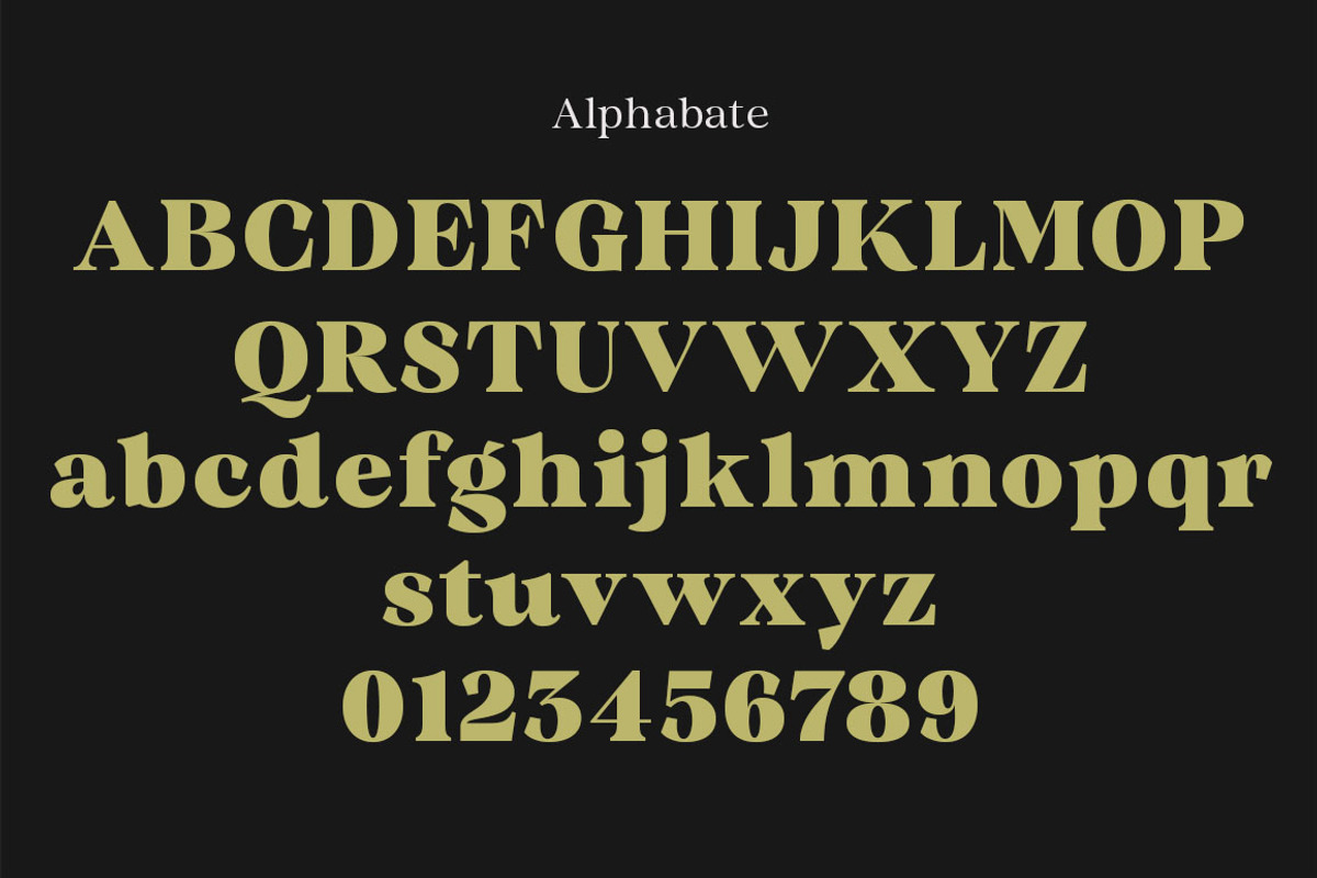 Quirlone, a Serif Font by Propertype (Photo 8 of 10)