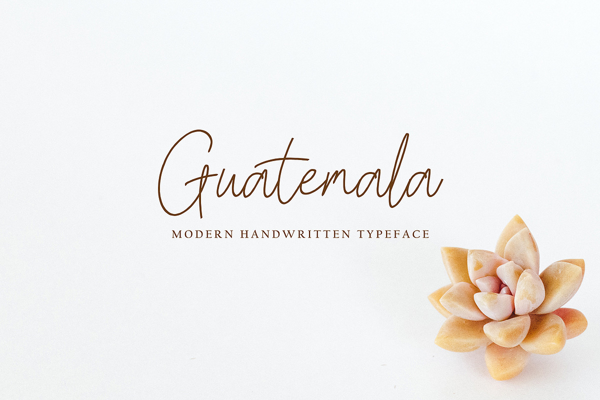 Paullina, a Script Font by pineungtype (Photo 6 of 9)
