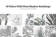 Plant Shadow Backdrops Video Bundle, a Mockup by rebrandy (Thumbnail 2 of 24)