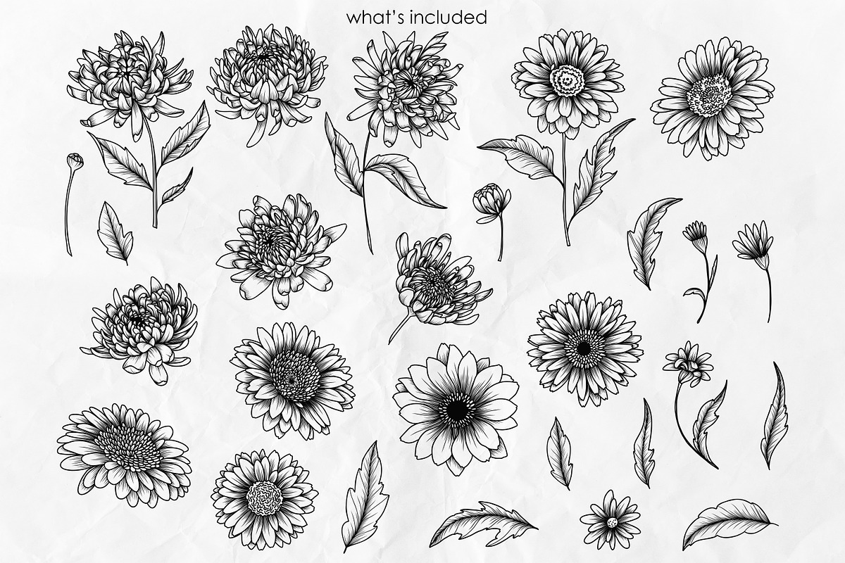 Aster Line Art SVG, an Object Graphic by Dervik Art Store (Photo 3 of 7)