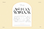 Maroon And Black, a Sans Serif Font by Areatype (Thumbnail 6 of 15)