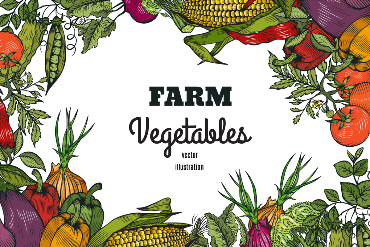Vector vegetables, a Food Illustration by TashaDraw (Photo 1 of 13)