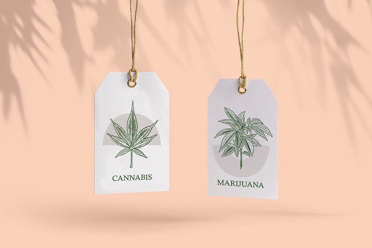 VINTAGE MARIJUANA / CANNABIS SVG, an Icon by Elena_Sedova (Photo 3 of 8)
