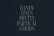 Elantrae – Elegant Modern Serif Font, a Serif Font by Only Fonts (Thumbnail 8 of 11)
