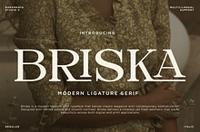 Briska - Modern Ligature Serif