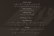 Rintica, a Script Font by Essentials Studio (Thumbnail 8 of 9)
