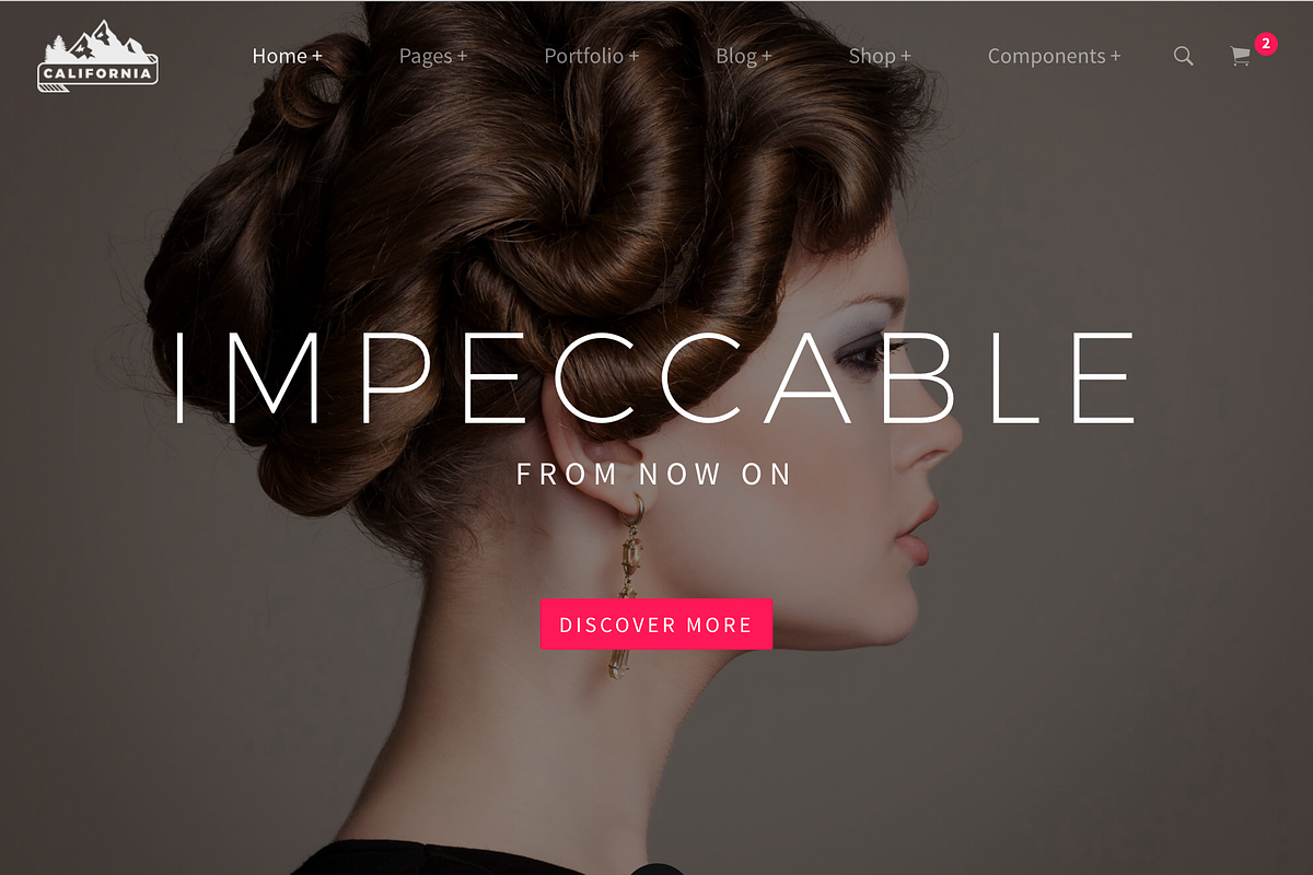 California - All in one HTML5 theme, a Bootstrap Template by Theme Wagon (Photo 7 of 7)