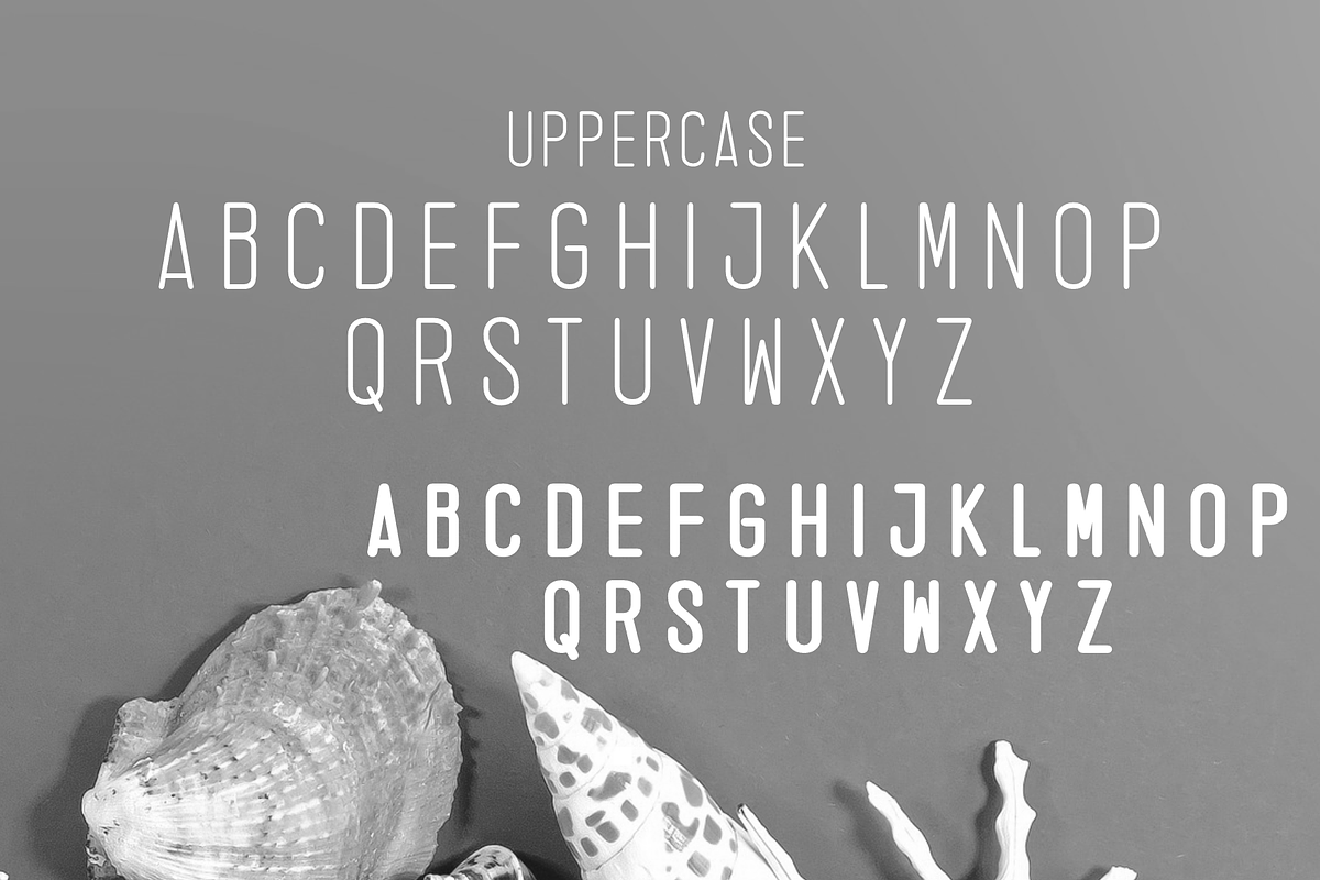 Zeneca Rounded, a Sans Serif Font by almazstudio (Photo 8 of 10)