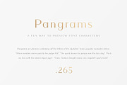 The Versatile Font Bundle, a Sans Serif Font by AlienValley (Thumbnail 76 of 141)