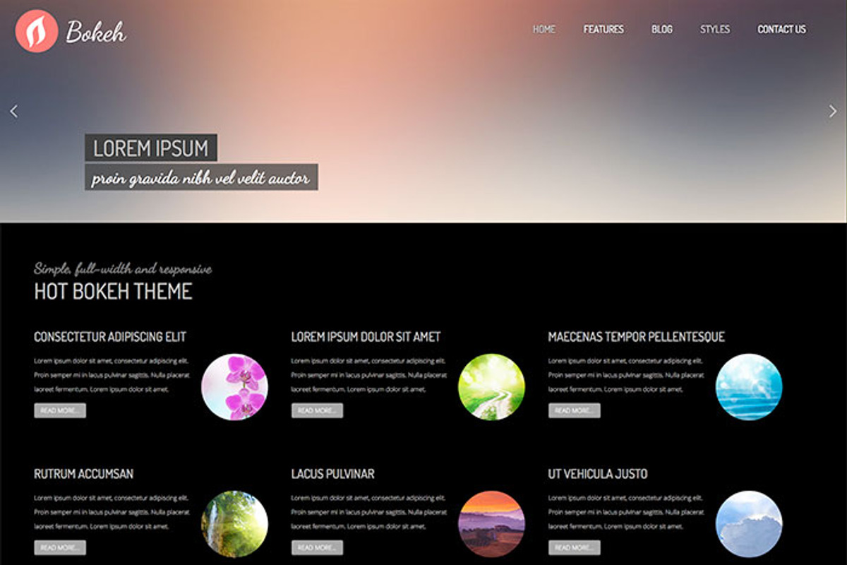 Hot Bokeh, a WordPress Template by hot-themes (Photo 5 of 5)