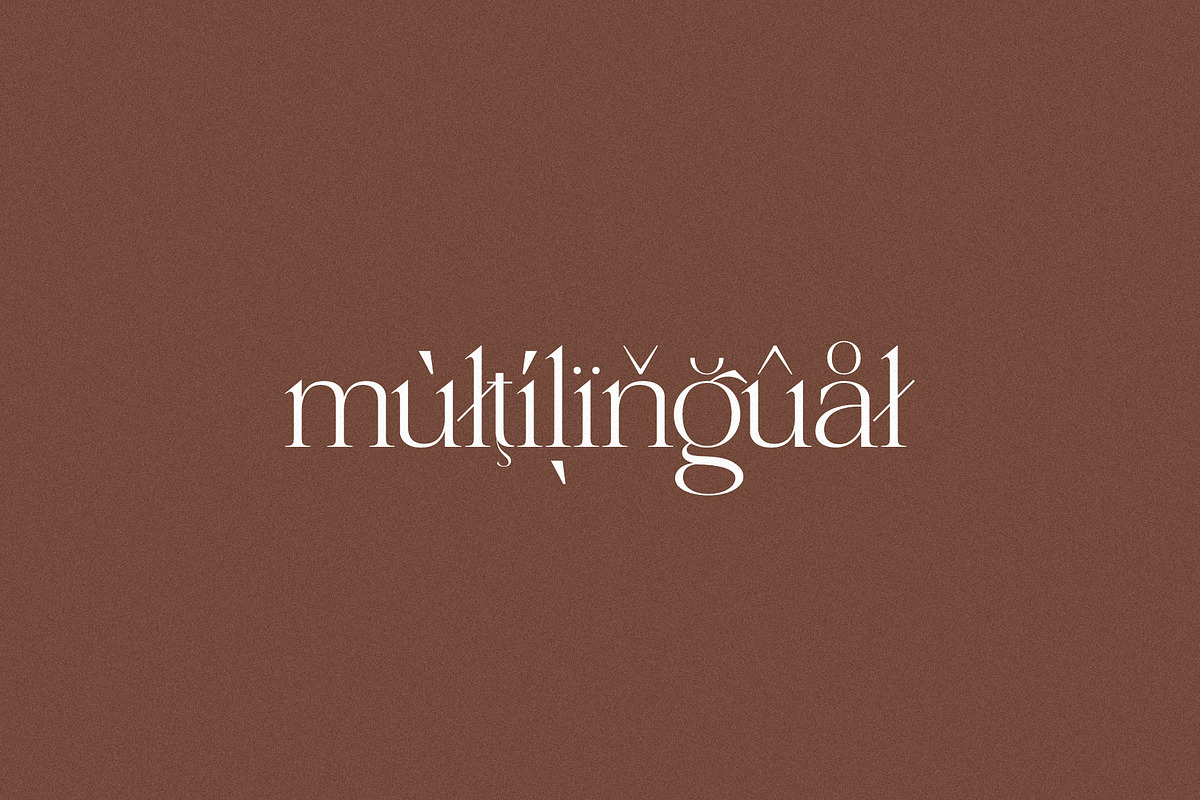 Shoreline - Elegant & Classic Serif, a Serif Font by Misha Sova (Photo 8 of 8)