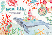 Sea Life Watercolor, an Illustration by helloPAPER (Thumbnail 1 of 2)