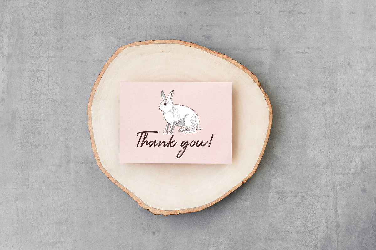 Hand drawn Arctic animals collection, an Animal Illustration by handsketched (Photo 10 of 10)