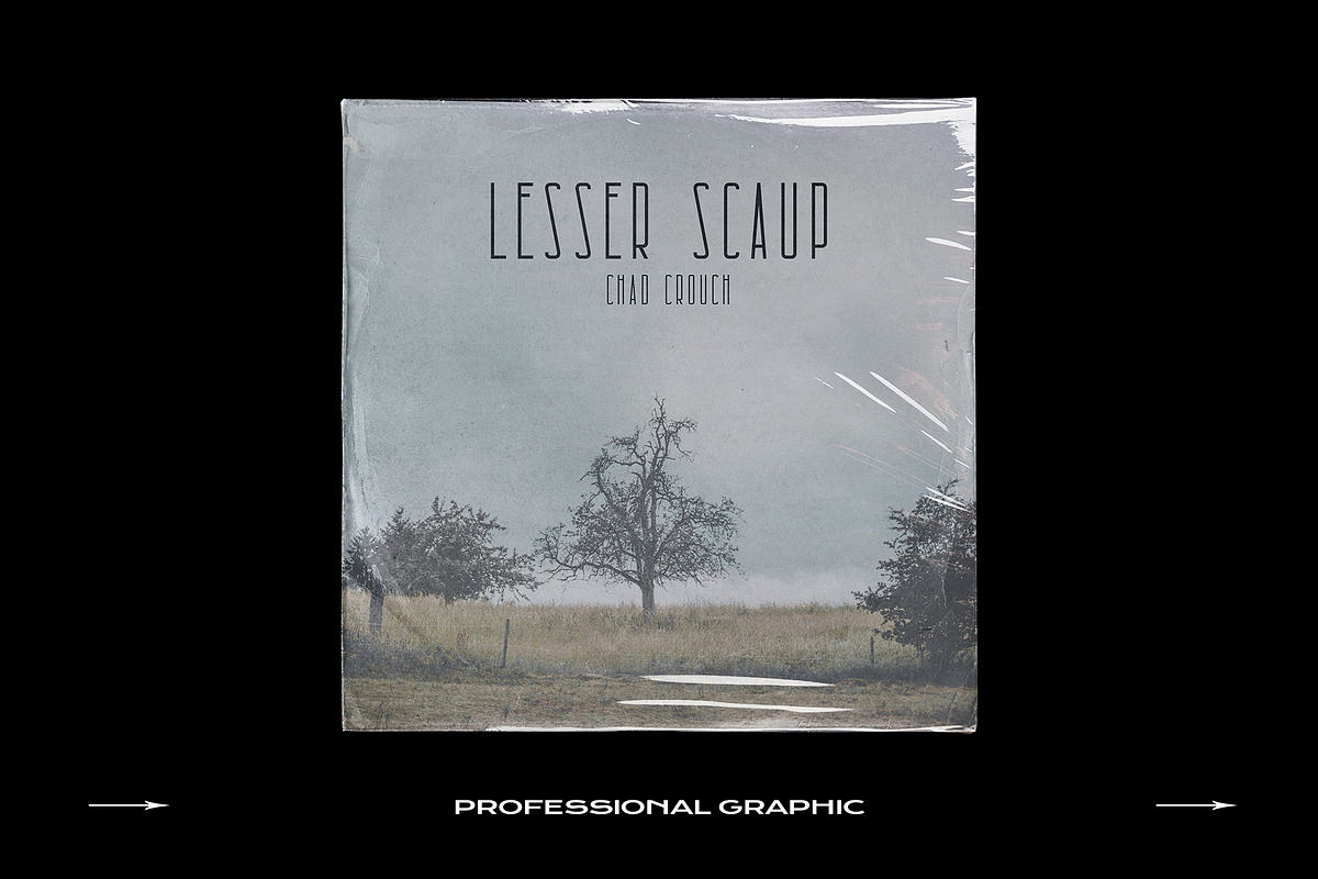 Vinyl Mockup Bundle Template Record, a Product Mockup by PrintPixel (Photo 50 of 56)