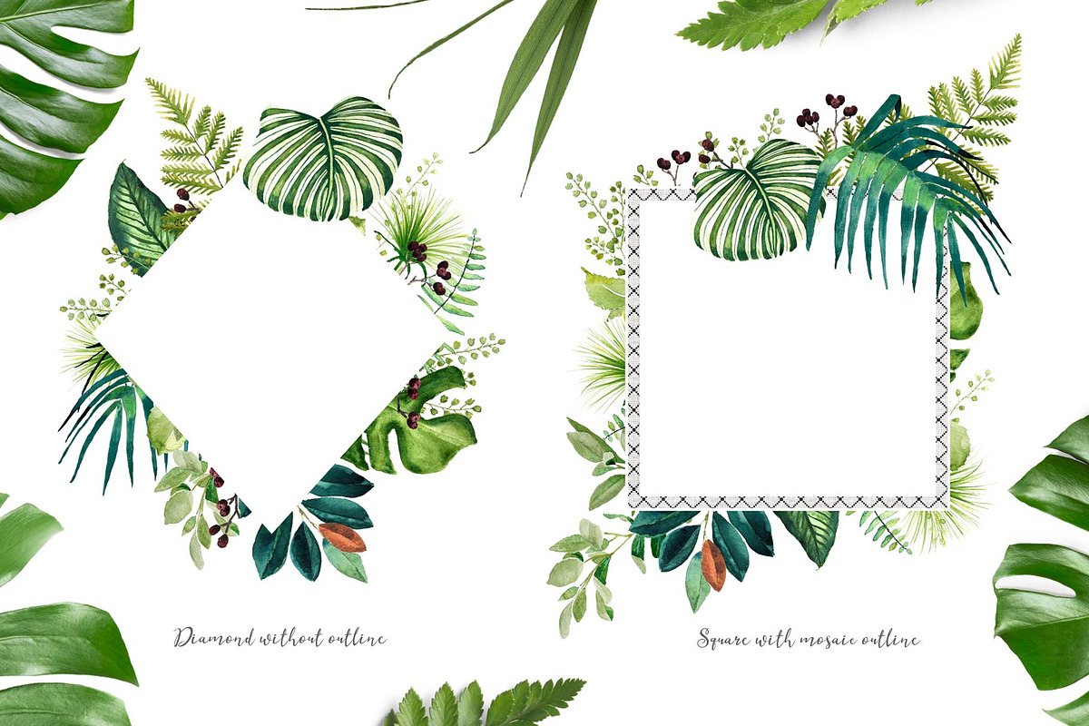 Tropical leaves old pharmacy bottles, an Illustration by marie dricot (Photo 5 of 12)