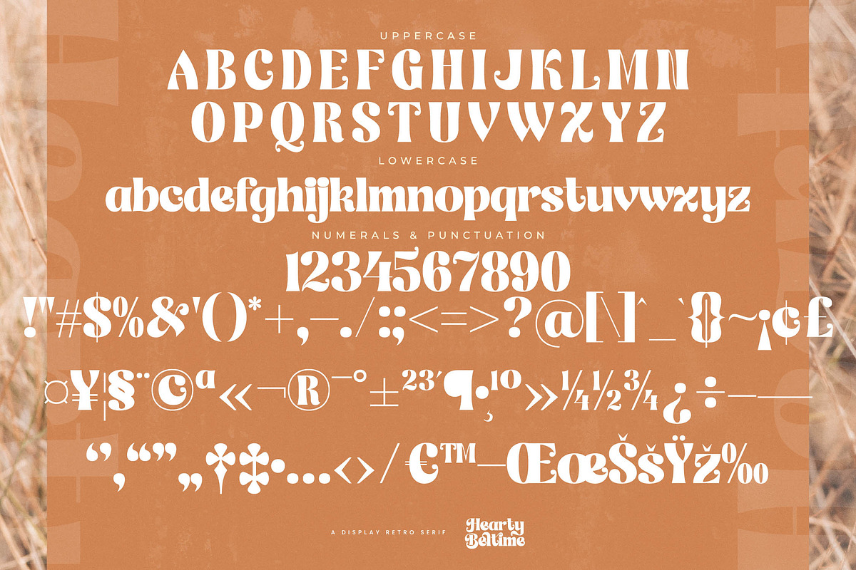 Hearty Beltime Retro Display Font, a Serif Font by timelesstype.co (Photo 18 of 20)