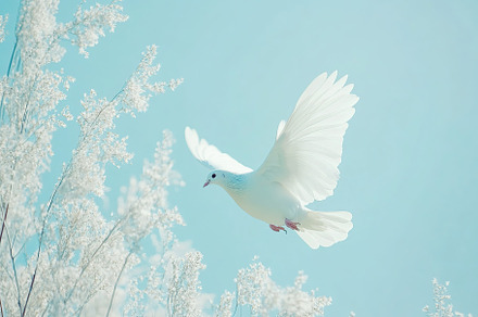 White dove with outstretched wings on blue background, an Animal Photo by AlyaAnd