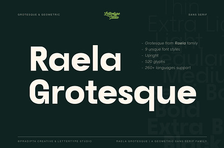 Raela Grotesque Family | 90% OFF