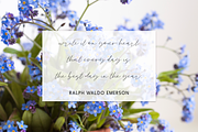 Goodspring Script, a Script Font by Beck McCormick (Thumbnail 7 of 10)