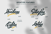 Gallardo Script, a Script Font by Motokiwo (Thumbnail 3 of 15)