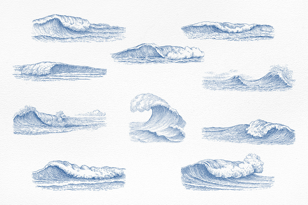 Vintage Marine Life Illustration Set, an Animal Illustration by NatalieArtShop (Photo 16 of 20)