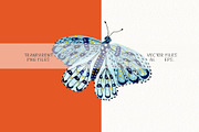 Butterfly Clipart Set, an Animal Illustration by Anna Ivanir (Thumbnail 2 of 5)