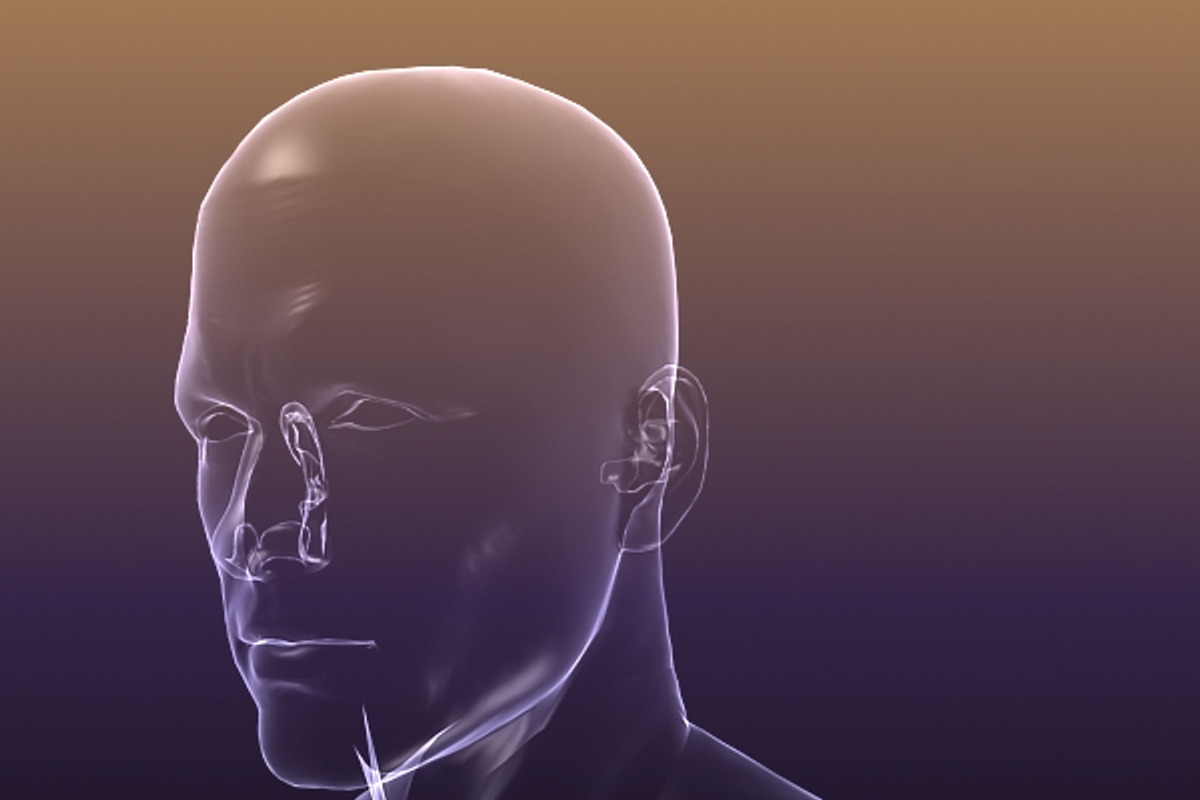 Male And Female Anatomy X-ray Bodies, a Characters & Person 3D Model by VisualCG (Photo 3 of 15)