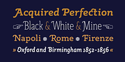 Rogliano Pro, a Slab Serif Font by Untype (Thumbnail 9 of 26)