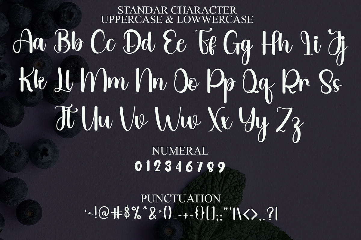 Beauty Angelica, a Handwritten Font by FreshTypeINK (Photo 3 of 8)