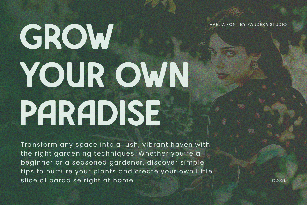 Vaelia - Elegant & Playful Sans, a Sans Serif Font by Pandeka Studio (Photo 4 of 9)